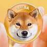 Prévisions Shiba Inu : prévision des prix pour mai 2024