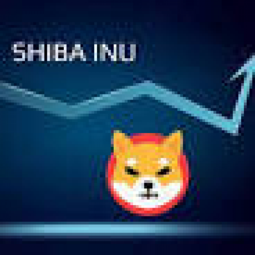 Changelly prognostiziert den Aufstieg und Fall des Shiba Inu im Jahr 2024