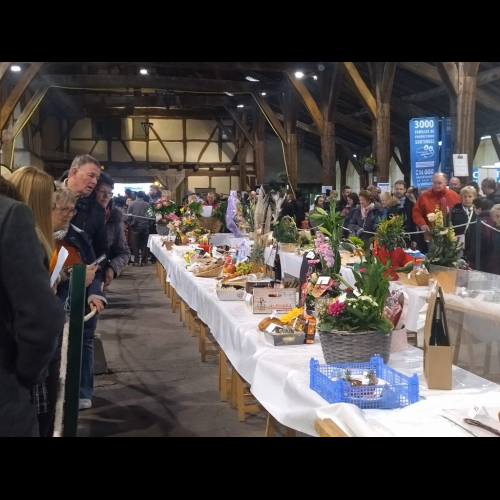 Thrilling 66th Châtillon Spring Fair Celebrates Camaraderie, Excellence