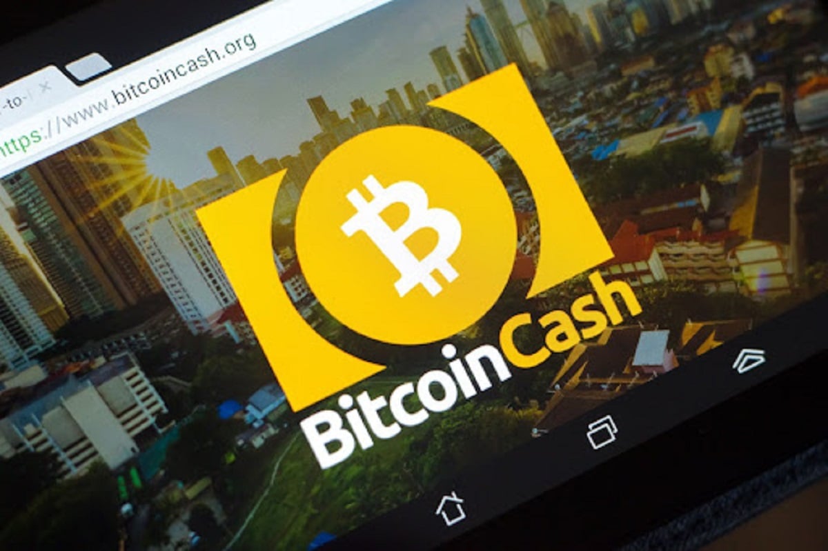 Bitcoin Cash Rebounds After Halving, Open Interest Dips