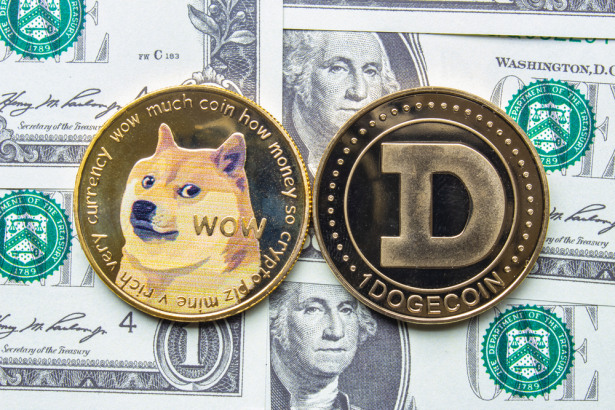 BabyDoge Tumbles Over 10% as Crypto Market Plunges