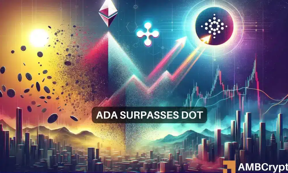 对比路径：Polkadot 的发展放缓与 Cardano 的激增