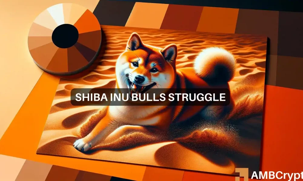 Abwärtstrend für Shiba Inu: Zusammenbruch der Unterstützungszone und Auswirkungen auf Bitcoin