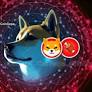 Die dezentrale Shiba Inu-Plattform begibt sich auf eine Multi-Chain-Odyssee