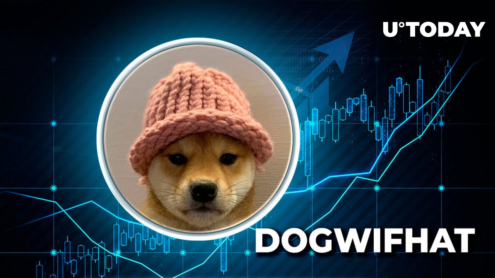 Dogwifhat (WIF) 在 ByBit 上飙升至 41.85 美元，创下新纪录