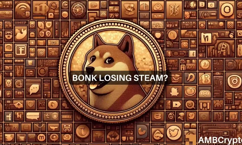 Bonk's Meteoric Rise Fades, Fueling Concerns Amid Market Decline