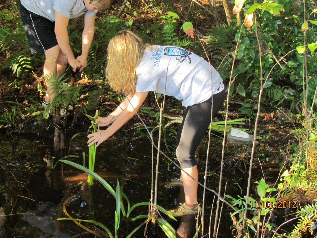 Annonce des activités de restauration de Sycamore Pond