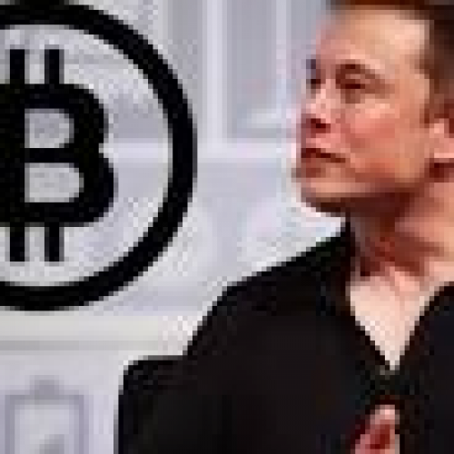 Elon Musk's Twitter Enigma: Bitcoin's Price Movements in His Tweets