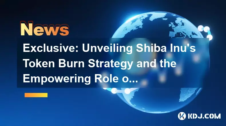 独家:揭秘柴犬的代币销毁策略和社区的赋权作用 独家:揭秘柴犬的代币销毁策略和社区的赋权作用