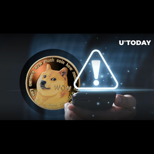 URGENT: Dogecoin Holders Warned to Secure Funds as Dogechain Wallet Closure Looms