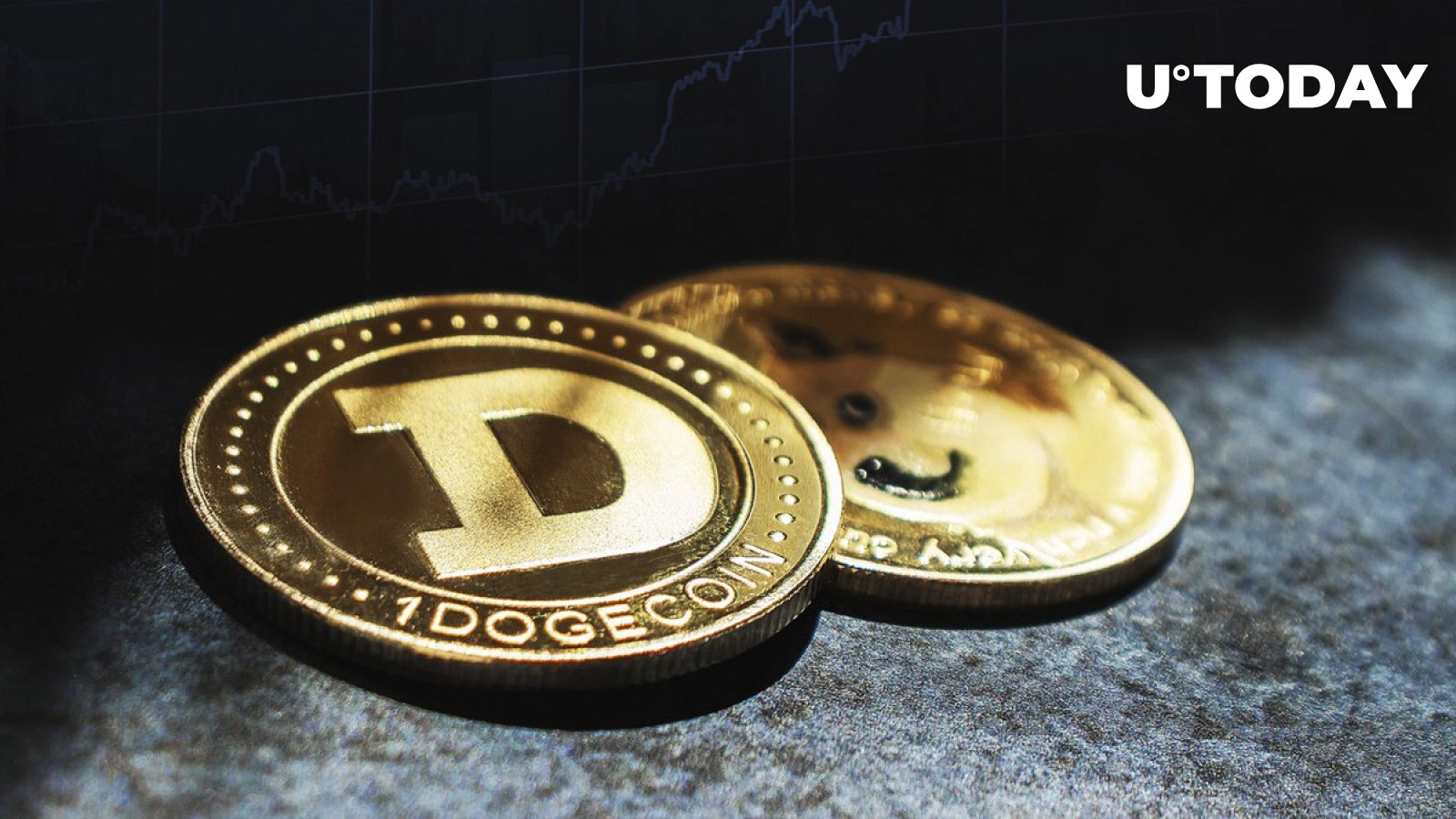 Dogechain Shuts Down Amidst Mounting Regulatory Heat on Digital Asset Custody