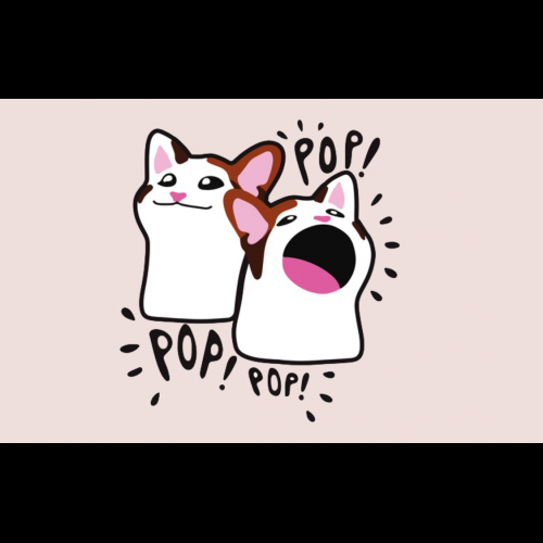 Popcat의 상승세는 시장 변동성 속에서 갈림길에 섰습니다.