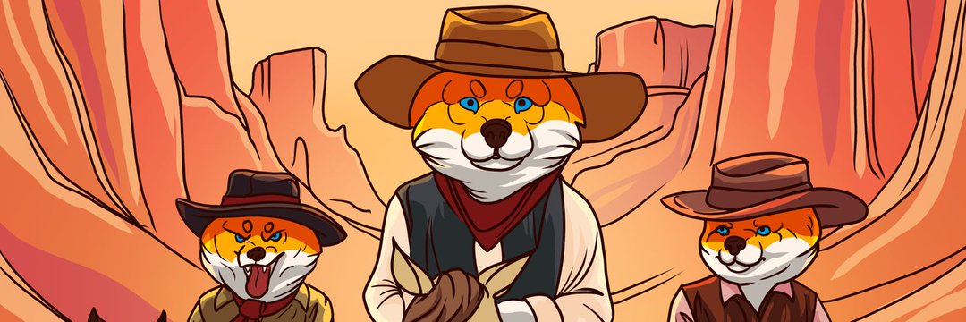 Shiba Shootout: The Wild West Frontier of Meme Coin Investing