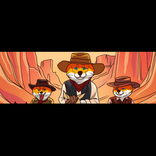 Shiba Shootout: The Wild West Frontier of Meme Coin Investing