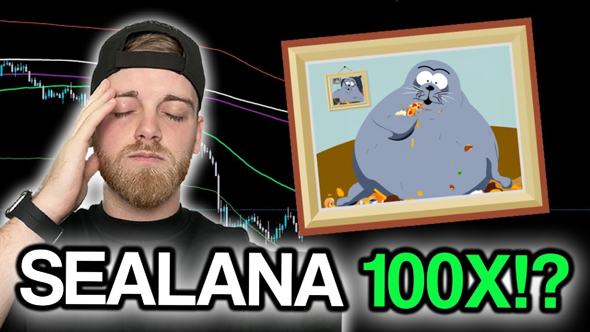 Sealana: Solana's Newest Meme Coin Sensation Skyrockets, Captivating the Cryptoverse