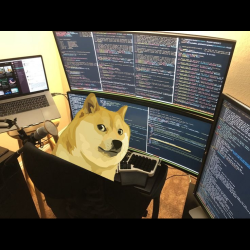 Dogecoin's Recent Bounce: A Cool-Headed Take