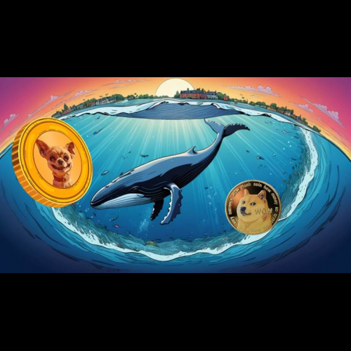 Dogecoin's Collapse Spurs Whale Shift to Alternative Asset, Hump