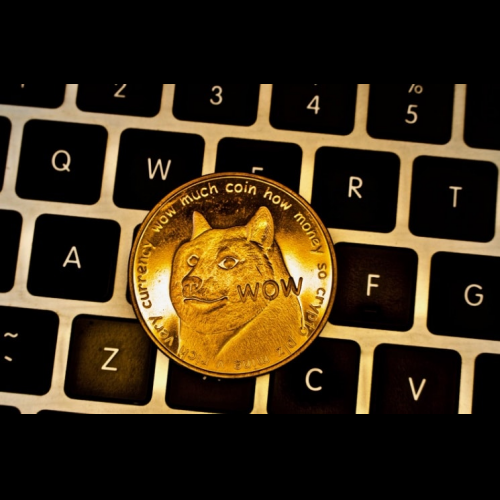 Dogecoin Community Sets Sights on New ICO Sponge for 1,000% Returns