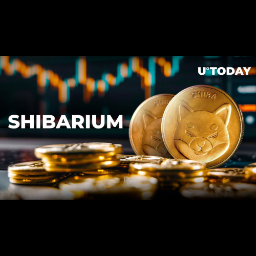 Shibarium Transaction Fees Skyrocket 267%, Fueled by Network Surge