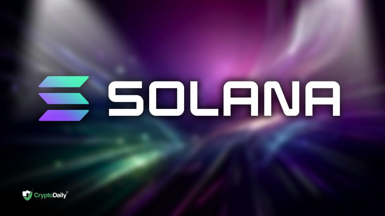 Solana's Meme Coin Craze: A Deep Dive into the Top 10