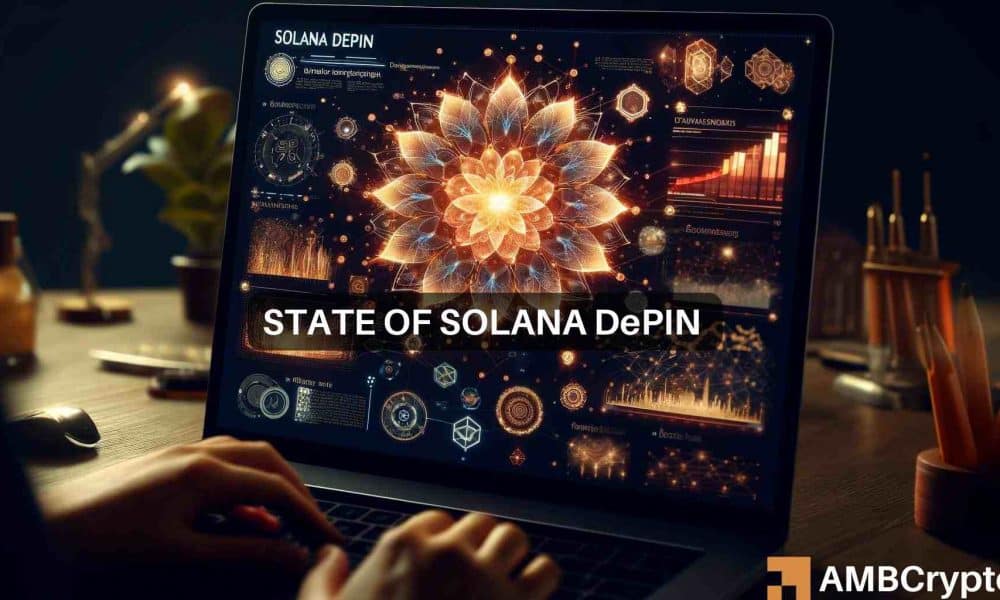 Solana [SOL] s'apprête à diriger le secteur DePIN (réseaux d'infrastructure publique décentralisés) après avoir dominé le segment commercial Memecoin