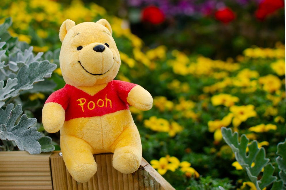 Die Winnie-Puuh-Kryptowährung (POOH) steigt innerhalb von 24 Stunden um 46 %, die Marktkapitalisierung übersteigt 17 Millionen US-Dollar