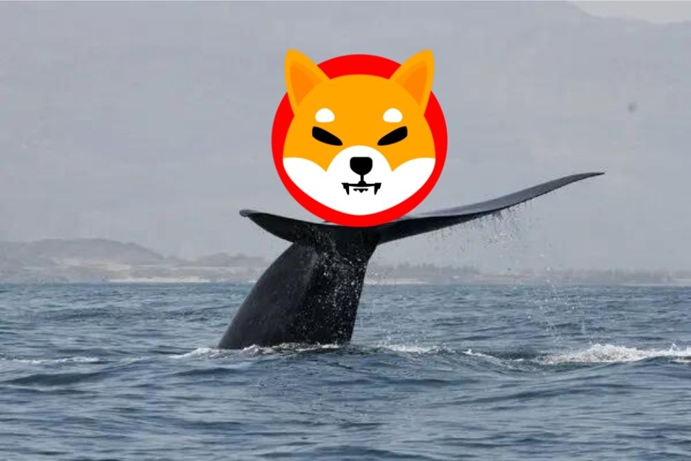 Shiba Inu (SHIB) Whale Address Springs Back Into Action, Accumulating 323 Billion SHIB Tokens