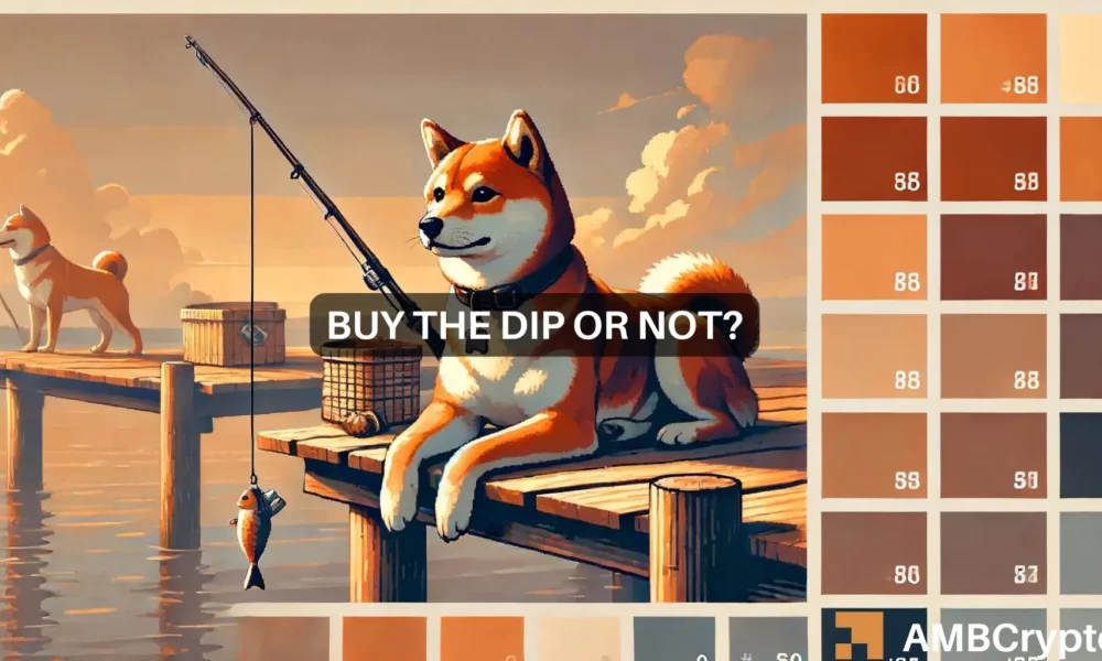 BONK Price Analysis: Is it Time to Buy the Dip?