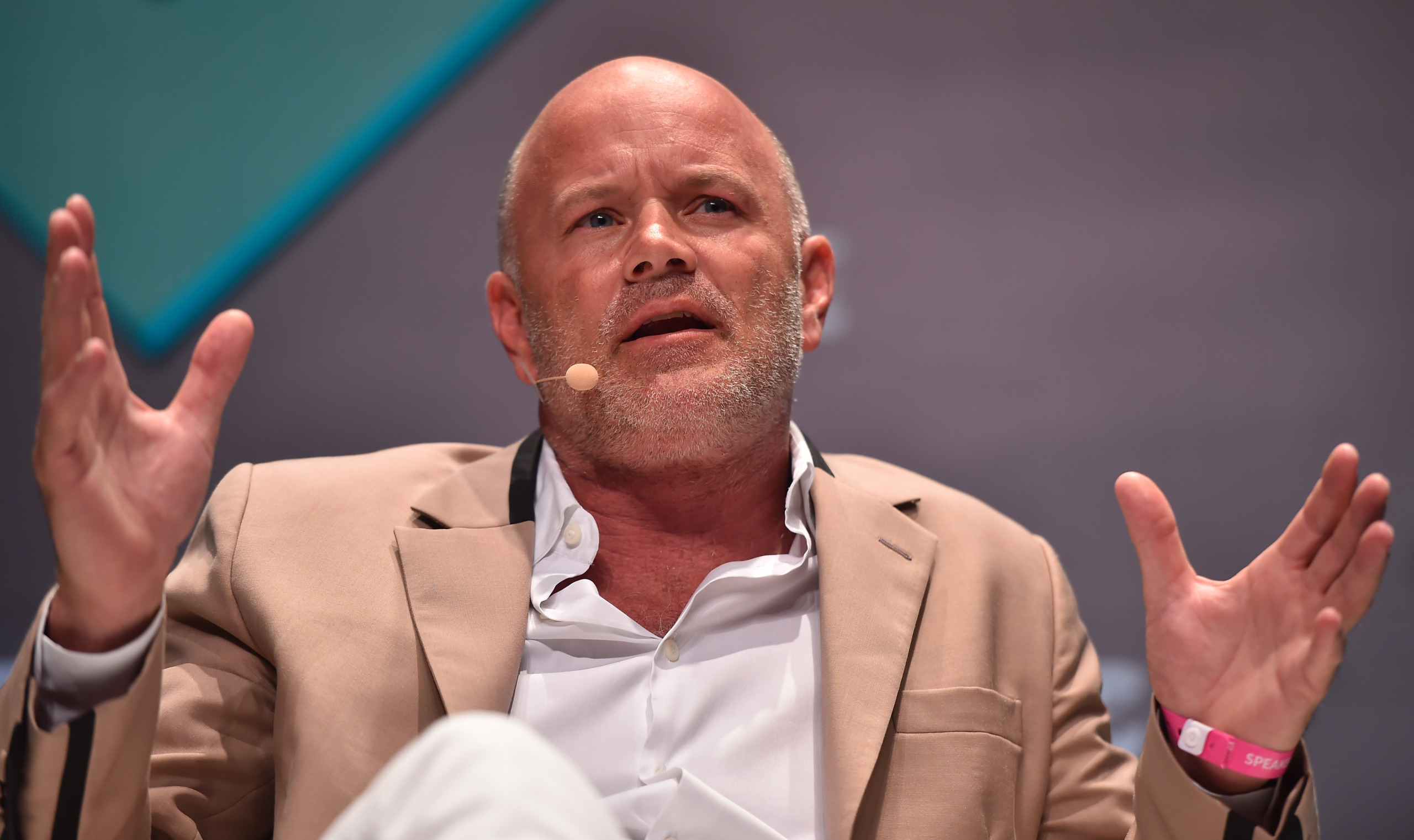 Dogwifhat (WIF): Mike Novogratz and Elon Musk Mention Boosts Meme Coin Price