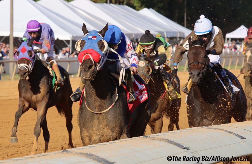 LAUREL PARK PICKS AND PONDERINGS: june 22, 2024