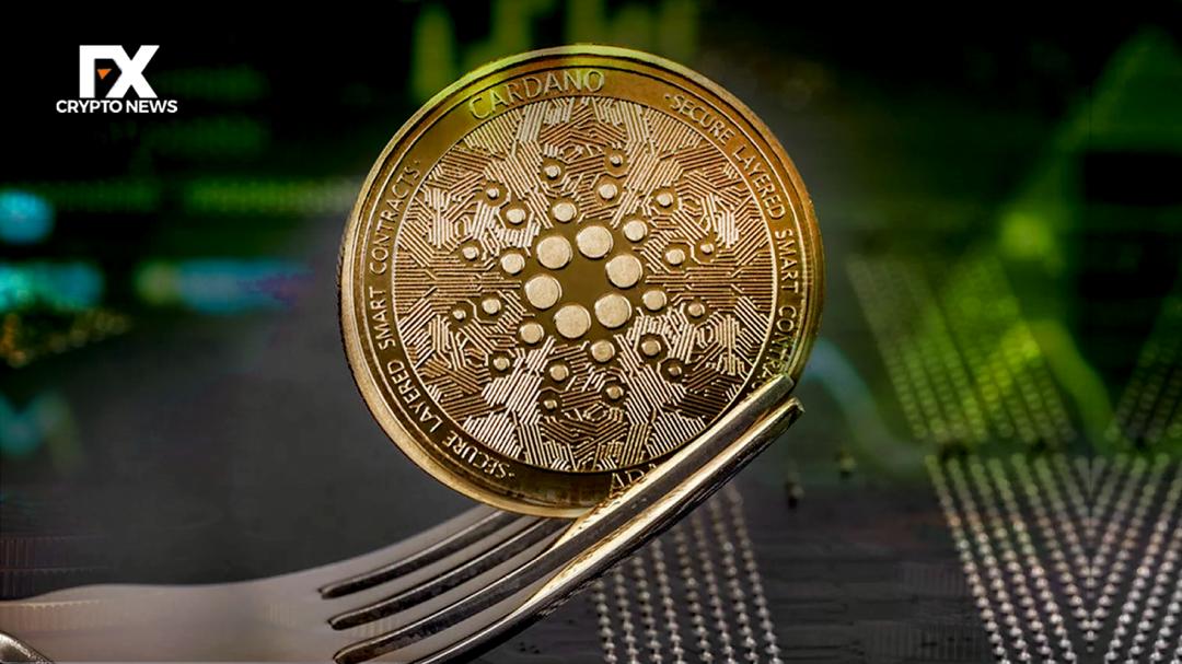 Cardano (ADA) fait preuve de résilience face au ralentissement du marché, se rapprochant d'un plancher selon l'analyse technique