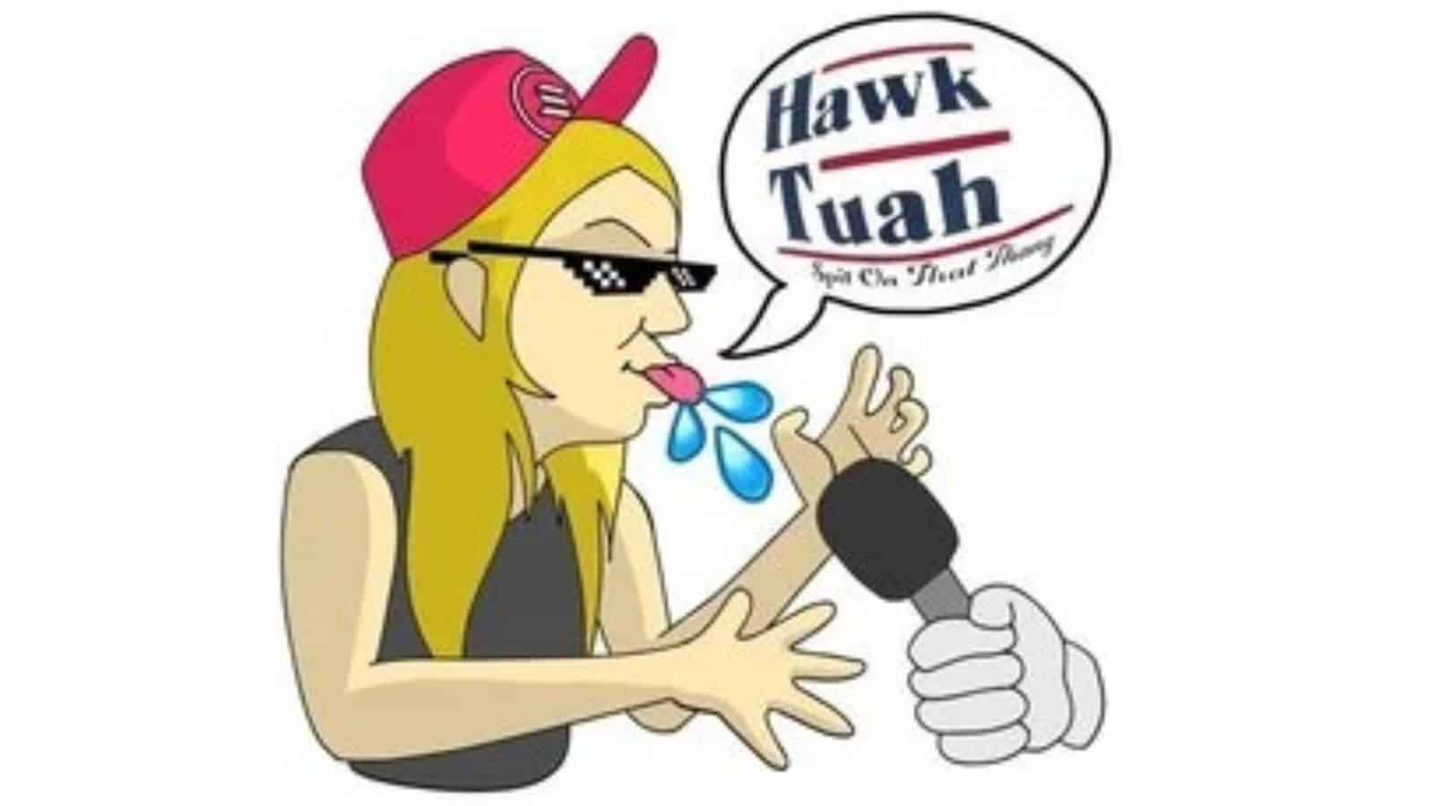 Hawk Tuah (HAWK) 2024 年价格预测：HAWK 会达到 1 美元吗？