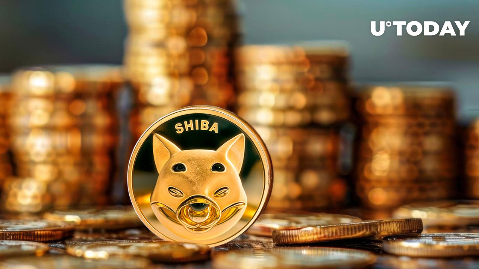 SHIB Marketing Expert Lucie Predicts 'Altcoin Season Coming' as Spot Ethereum ETFs Set to Start Trading