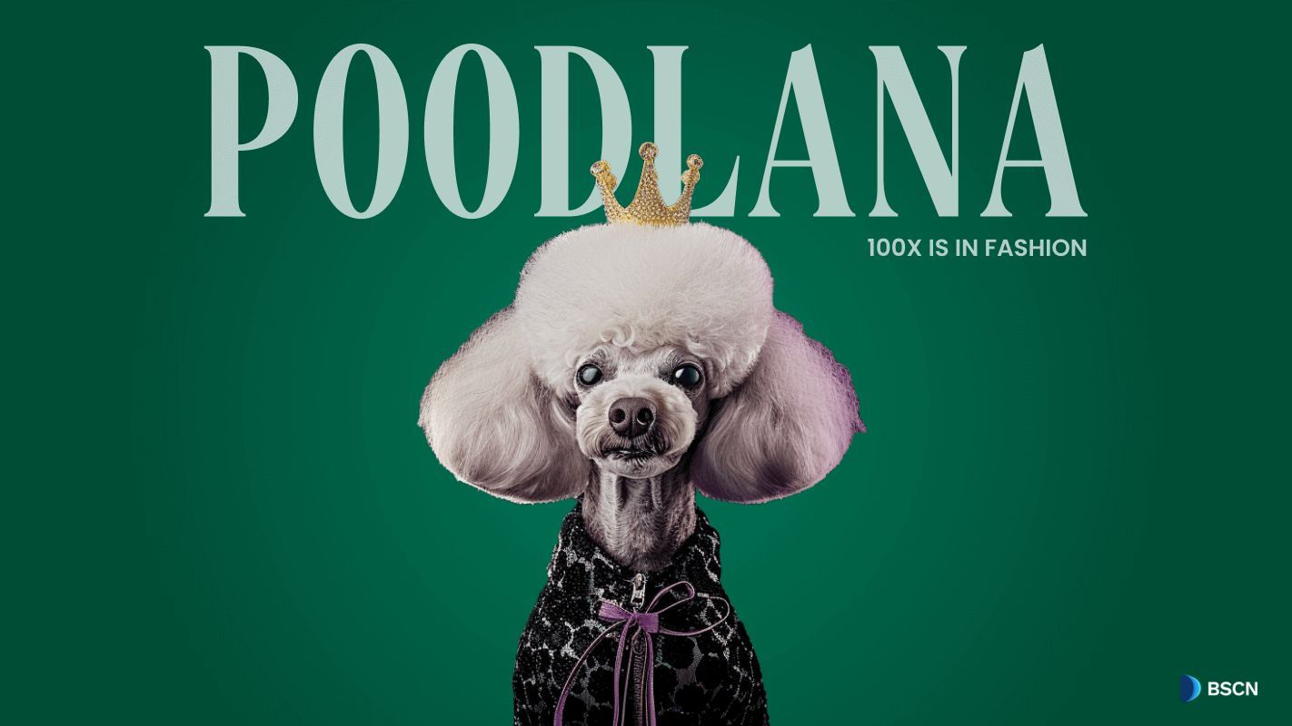 Poodlana (POODL) : la pièce Solana Meme prête à dominer le marché asiatique