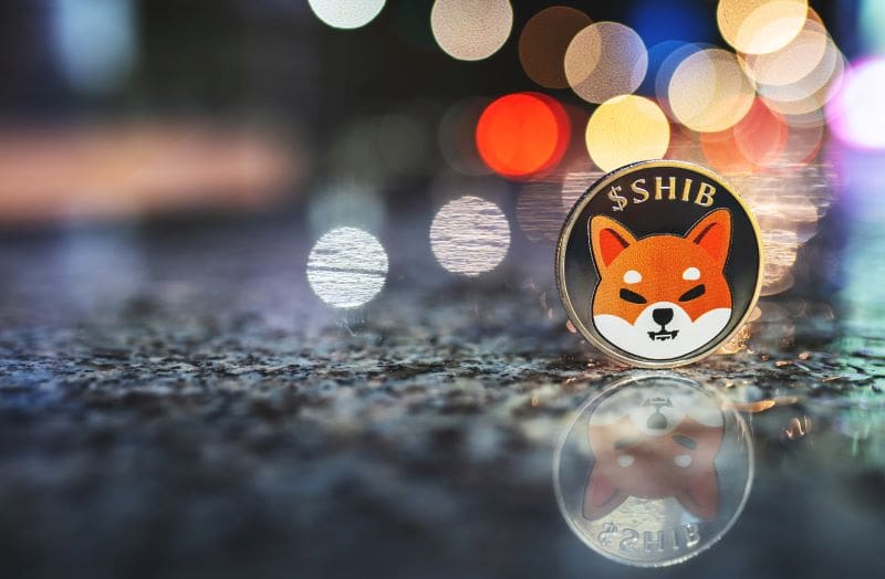 Shiba Inu (SHIB) enregistre des déclins massifs, les algorithmes d'IA sont pessimistes