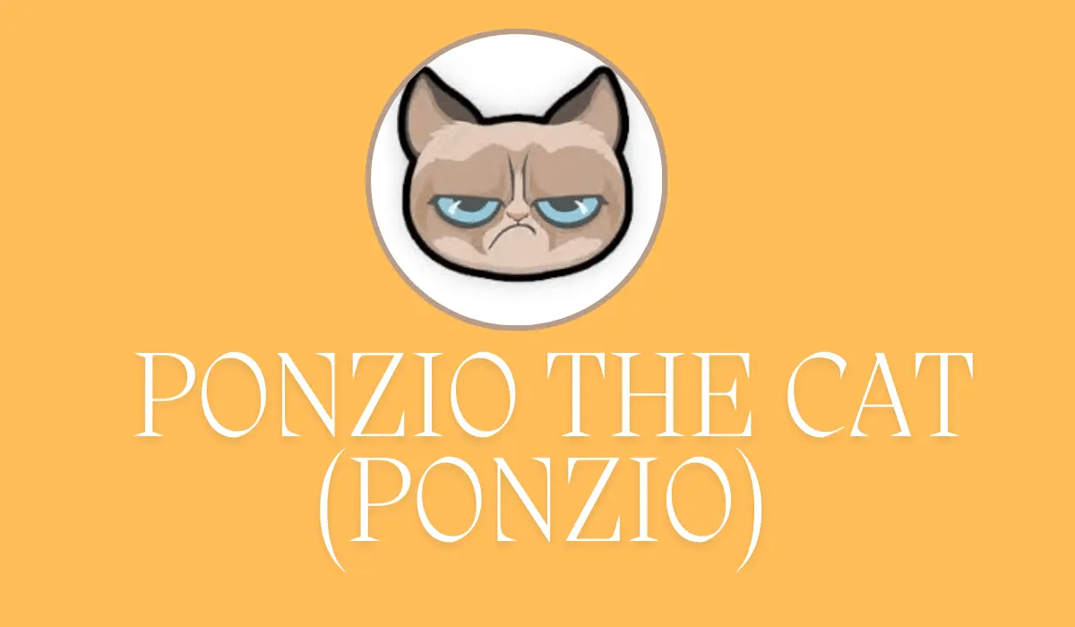 Ponzio The Cat (PONZIO) Preisvorhersage 2024-2025: Wird PONZIO bald 1000 $ erreichen?