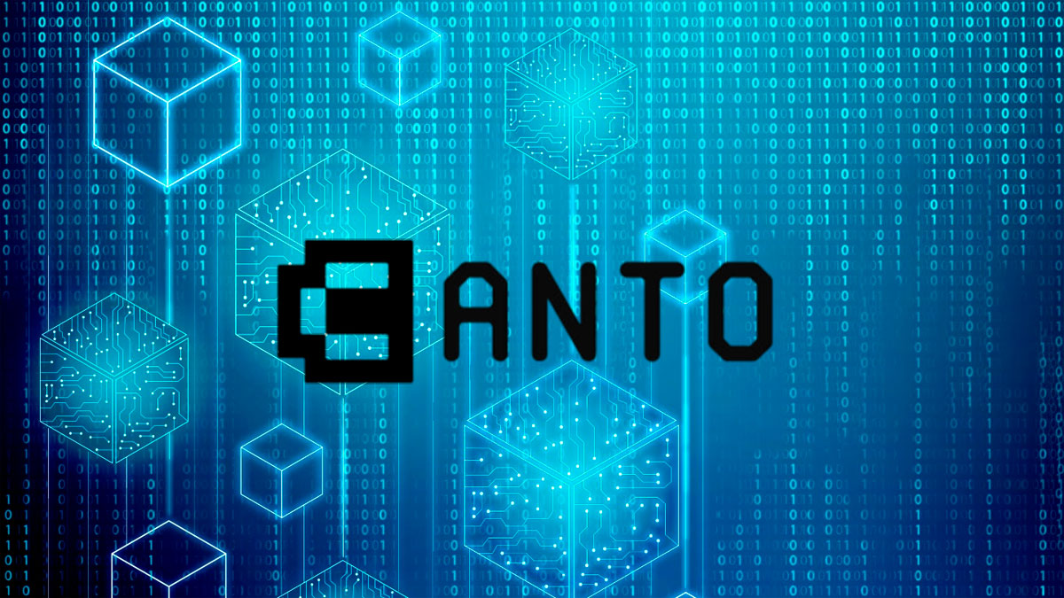 Canto Layer-1-Blockchain seit Samstag wegen „Konsensproblem“ ausgefallen