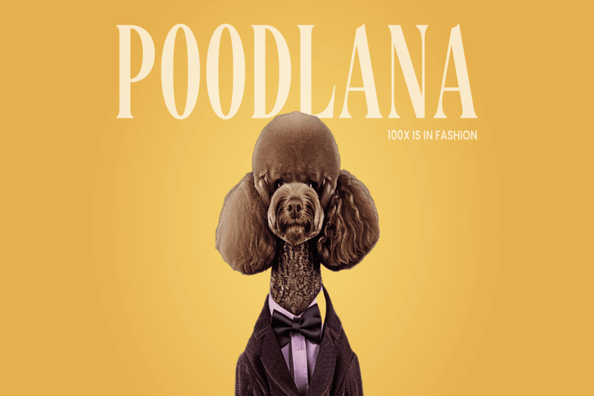 Poodlana (POODL)：最热门的新加密货币让亚洲投资者疯狂