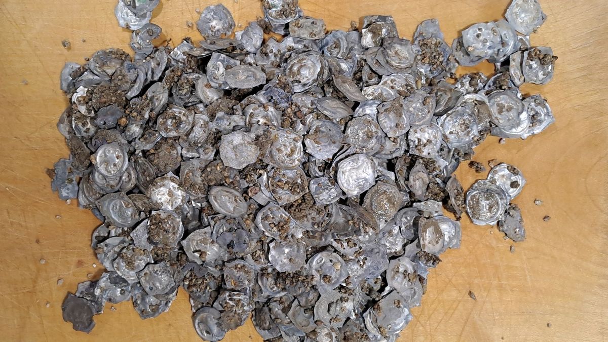 Archaeologists Unearth Over 1,500 Medieval Silver Coins in Germany