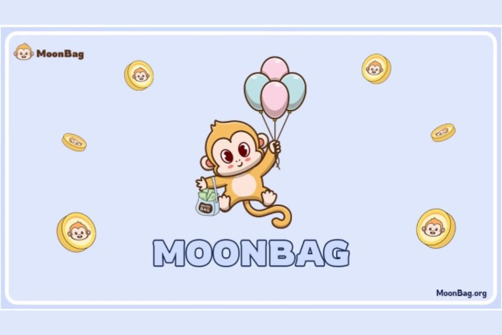 Floki Inu、Bonk、MoonBag：在市場上掀起波瀾的 Meme 幣的最新更新和功能