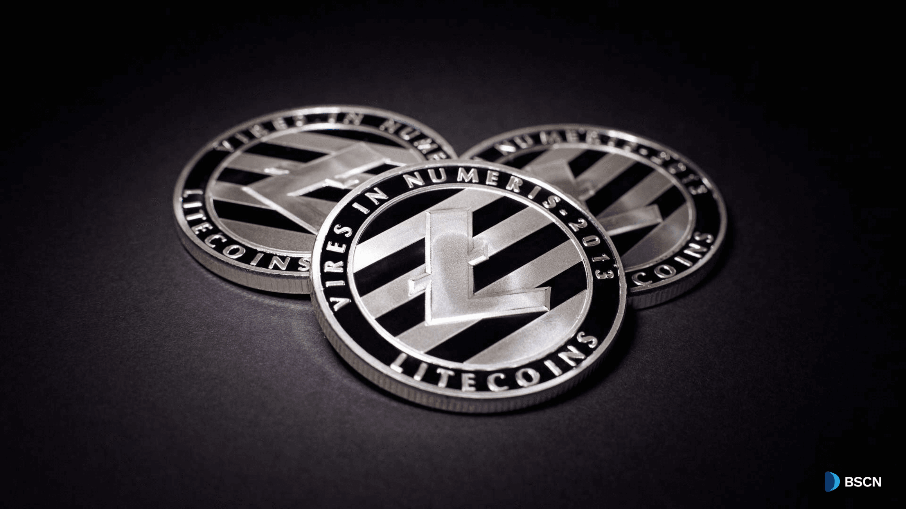 This Guide Explains Everything You Need to Know If You Want to Play at Litecoin Casinos