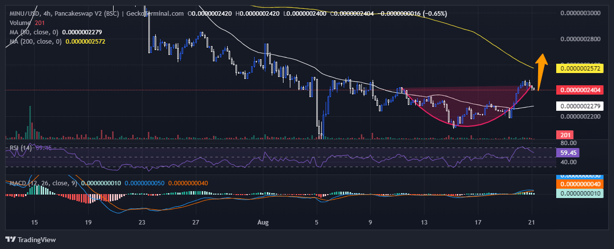 MINU Value To Proceed Surging After Discovering Assist Round $0.0000002127