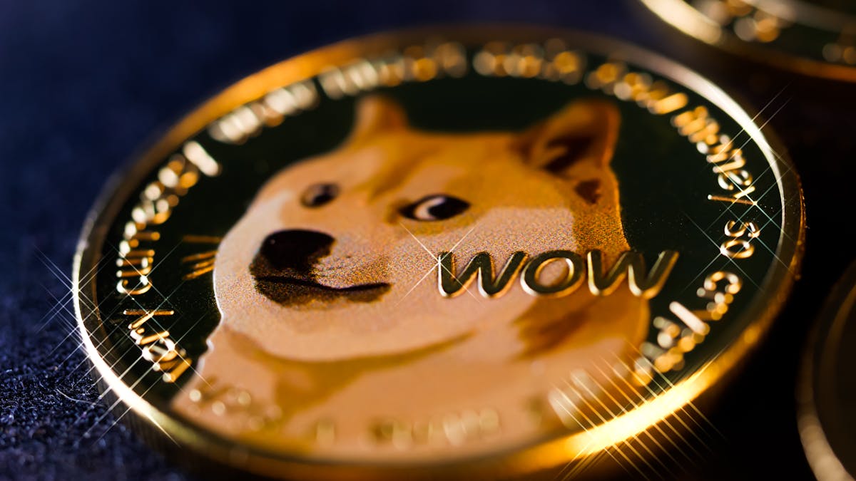 Dogecoin-Casinos: Die besten DOGE-Glücksspielseiten für 2024