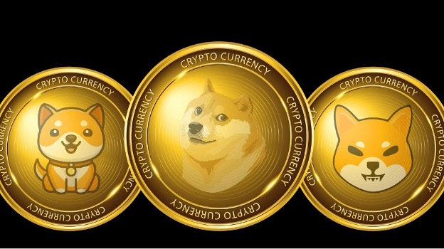 Fünf Meme-Coins, die im vierten Quartal 2024 explodieren könnten