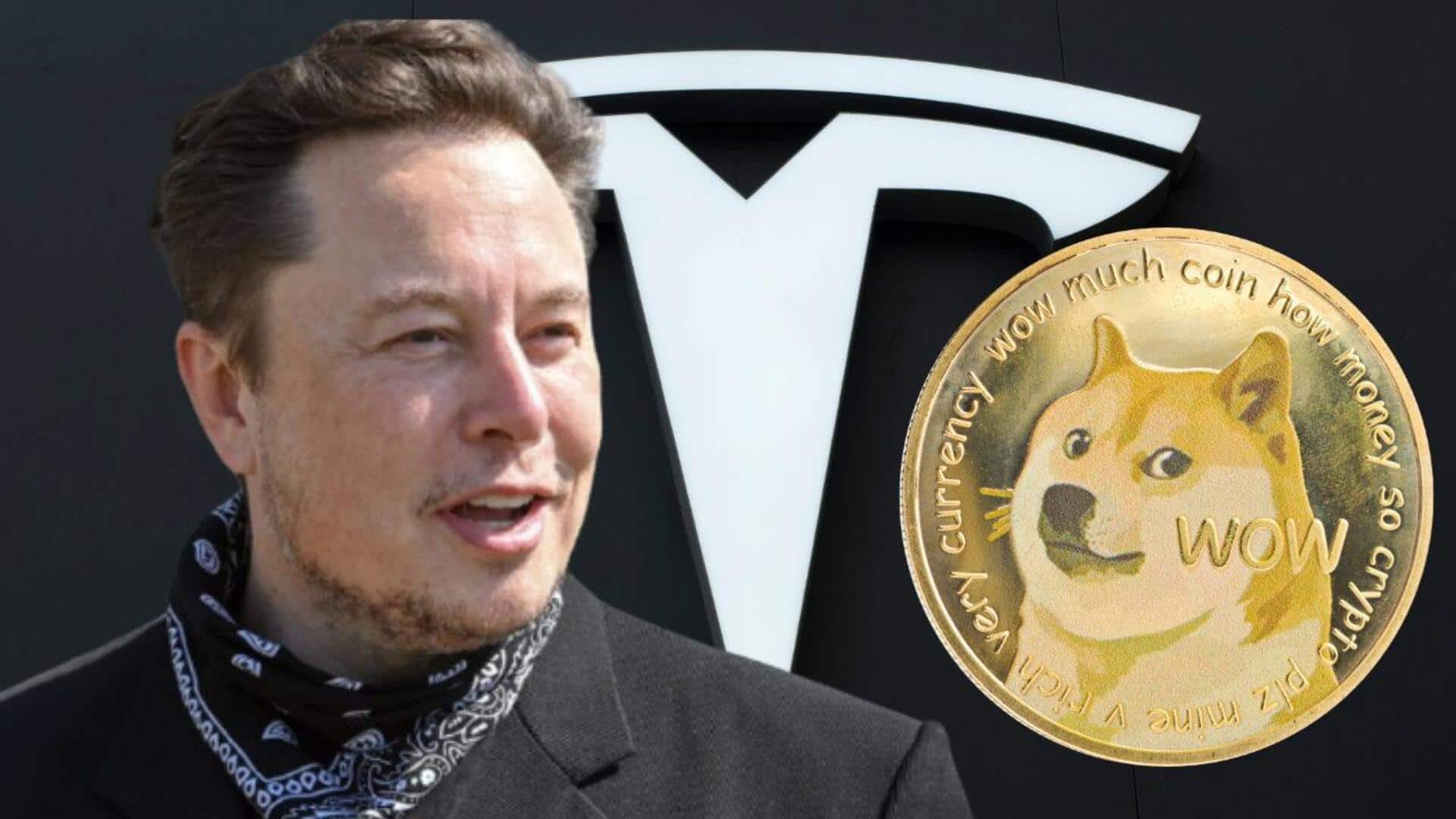 Elon Musk, Dogecoin 소송에서 승소: 판사가 '피라미드 계획' 주장을 기각