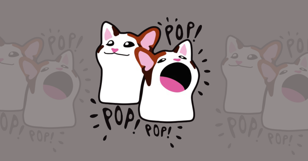 POPCAT Meme 코인, 오늘날 최고의 상승세로 1위 자리 차지