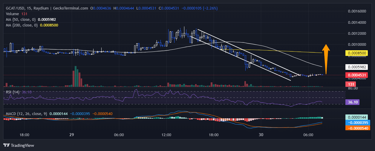 Gigacat Value Gears Up For A Rebound After Dropping 48% In 24 Hours