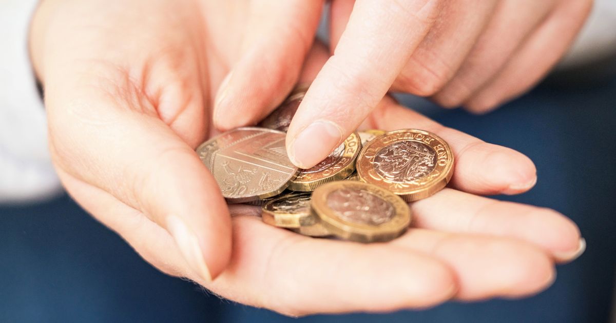 Die Briten werden dringend gebeten, 50-Pence-Münzen zu prüfen, da einige Motive ein Vermögen wert sein könnten