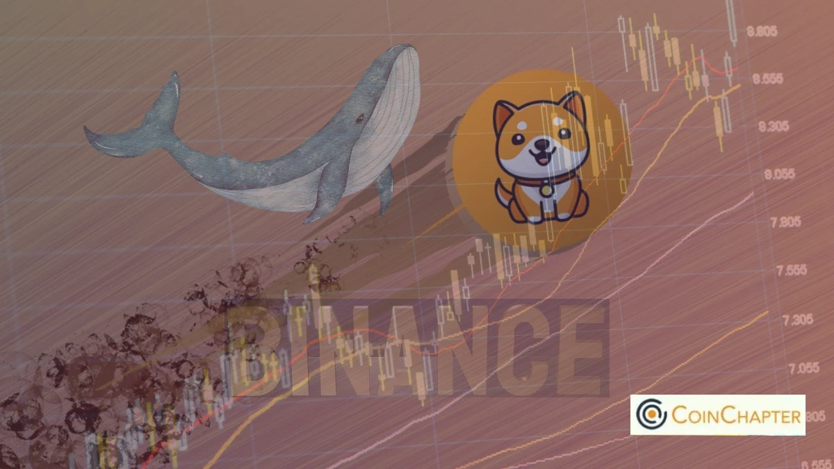 BabyDoge Coin (BABYDOGE) entre dans une nouvelle phase de marché avec l'accumulation de baleines et la cotation de Binance