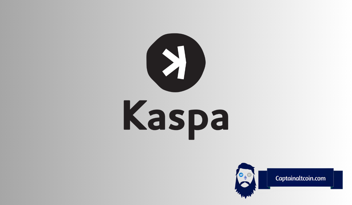 Le prix de Kaspa (KAS) fait face à une pression de vente de la part des détenteurs à court terme, mais les détenteurs à long terme font preuve d'une conviction plus forte